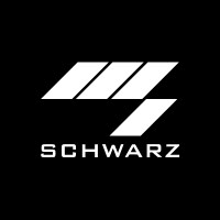 Grupo Schwartz
